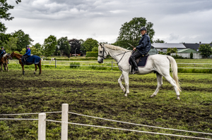 ringreiten_2024_2_20240609_1746093289