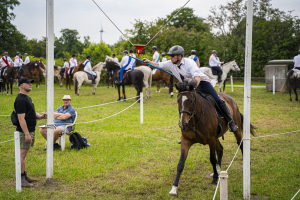 ringreiten_2025_10_20250617_1717903600