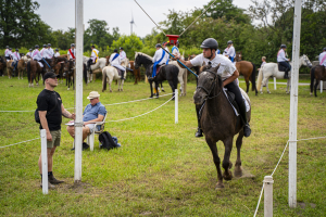 ringreiten_2025_12_20250617_1689644329