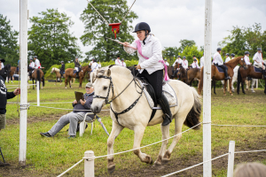 ringreiten_2025_31_20250617_1379198289