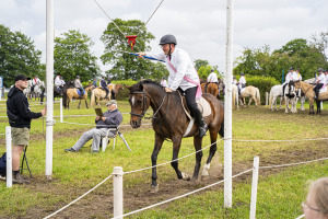 ringreiten_2025_36_20250617_2058247768