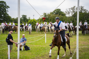 ringreiten_2025_8_20250617_1620262065